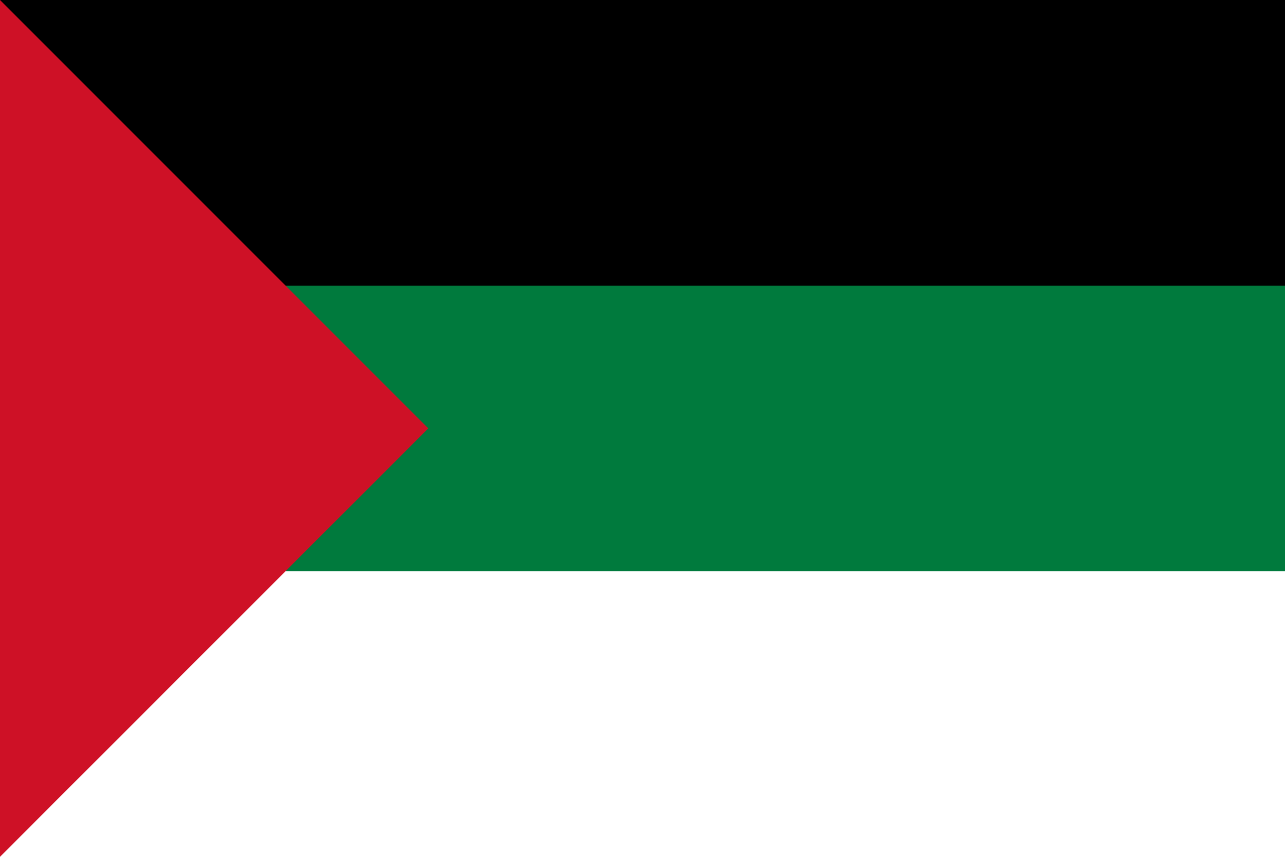 Panarabische Flagge